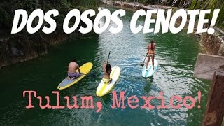 Dos Osos Cenote in Tulum, Mexico!