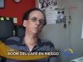 videos de Boom de agroexportaciÃ³n de cafe en Piura amenazado por denuncios mineros autorizados por el gobierno