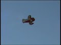 Gee Bee R2 Flight.wmv