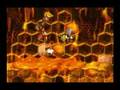Donkey Kong 2 - #20 - Hornet Hole