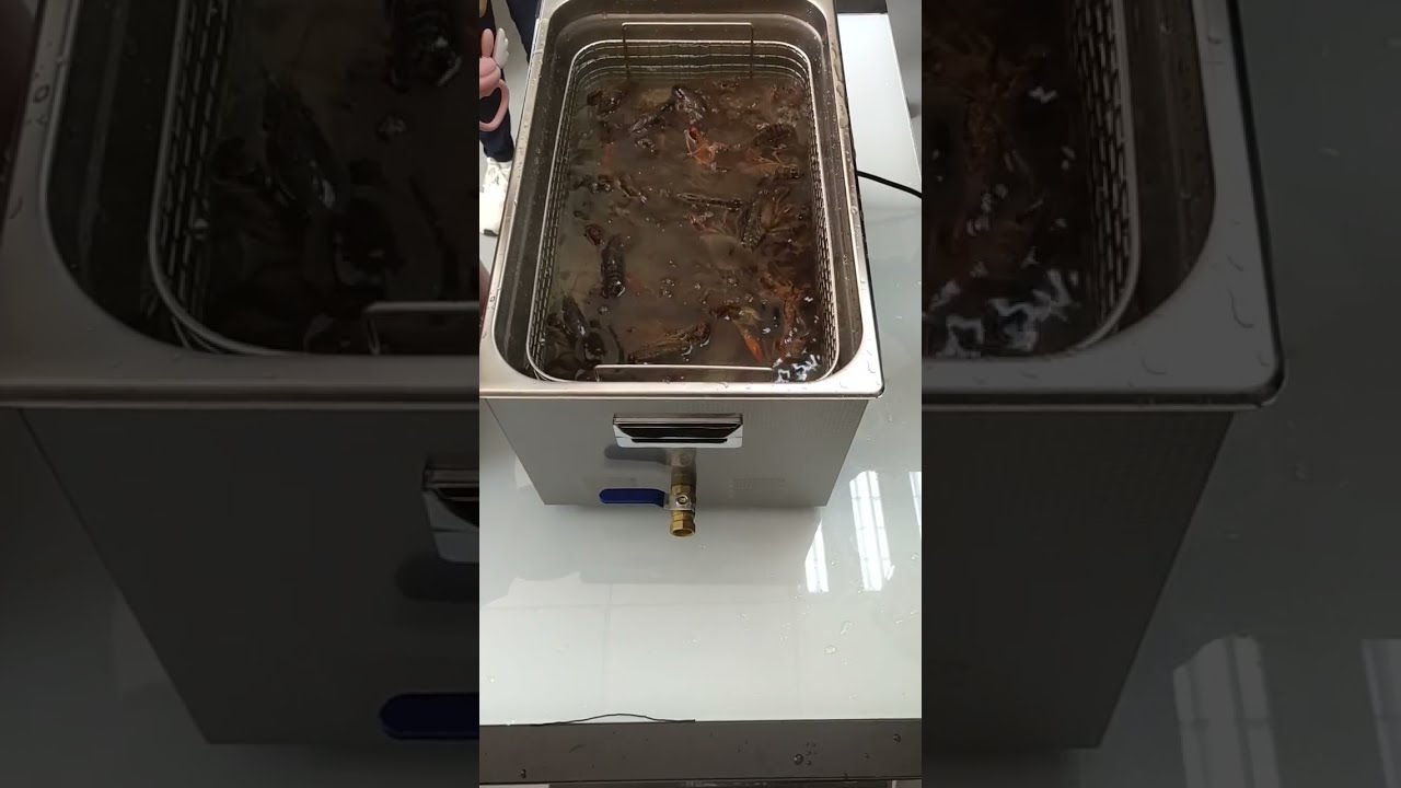 Live lobster, cleaning test, Granbo Showing Magic!