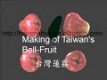 Making of Taiwan Bell Fruit by using 3dsom Pro