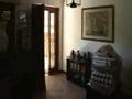 Villa Cipressi www.alfaimmobiliare.it