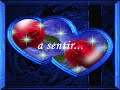 Luis miguel-sue�a