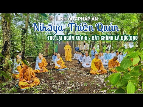 NIKAYA Thiền Quán - Trở Lại Ngàn Xưa 5 - Bát Chánh Là Độc Đạo