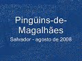 Pingüins