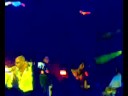 chris willis na andromeda disco