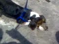Floyd\