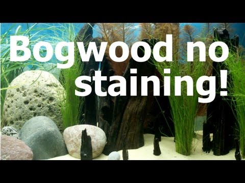 how to cure aquarium driftwood