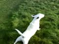 Playtime