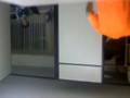 videos de Forro Rei da pisadinha + SouJaboy = ???