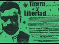 Cannabis
