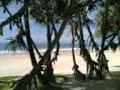 Dec 2007 on Koggala beach!