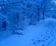 10-cm-snow