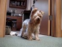 A Day in the Life of OLIVER