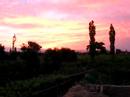 Vineyards from the roof in Turpan ???
