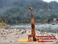 PIYFT, Patanjali Sutra, patanjali yoga, InversionYoga, Shalmba Sirsasana