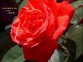 Rise Up and Praise Him Manele-Gratis.net