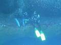 videos de Warren Diver - Capo Caccia, Grotta di Nereo e Tamagotchi