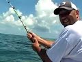 Gulf Coast 200 Offshore ray Gulf Coast 200 Offshore ray