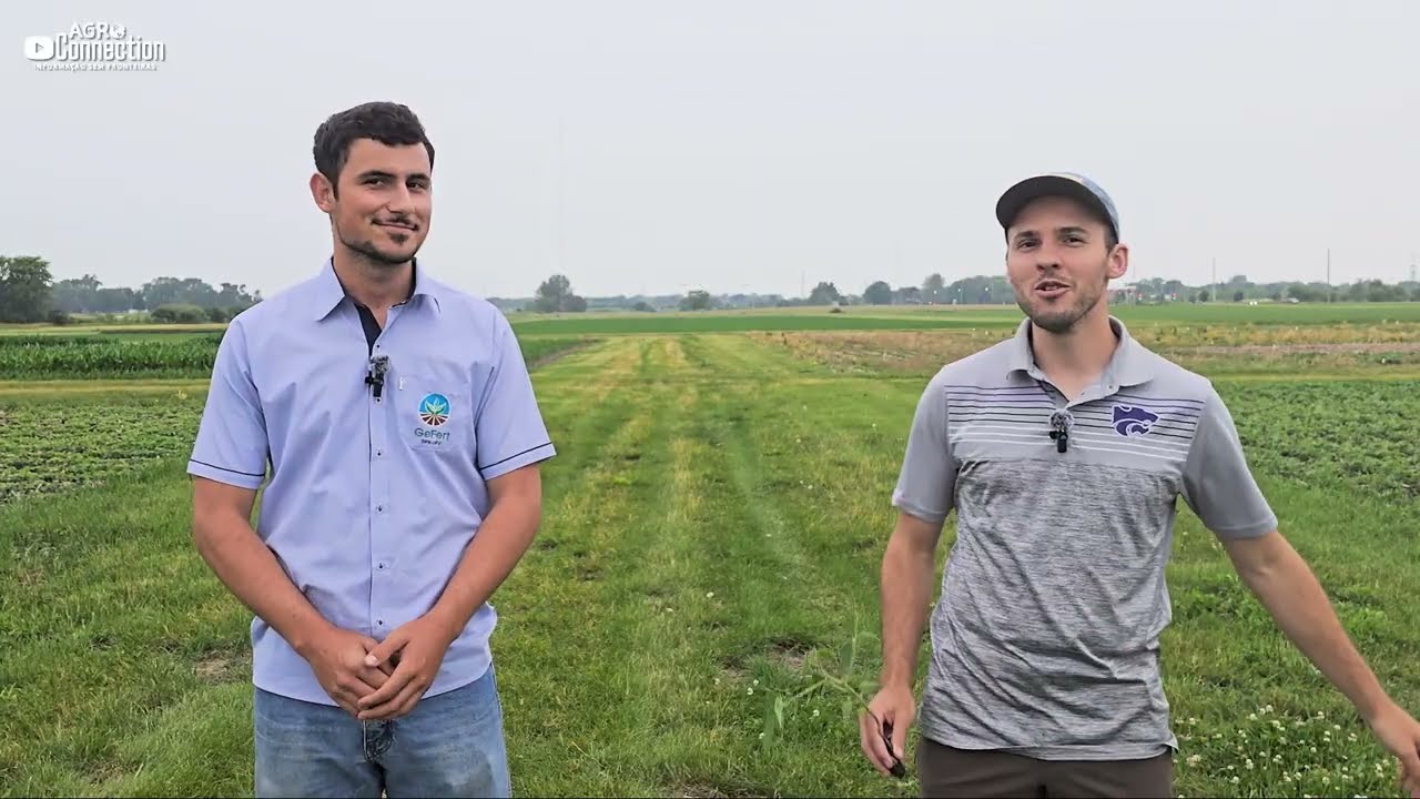 Espaçamento de Plantas e População de Soja (Junho 2025)