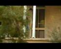 New Slang - The Shins New Slang - The Shins