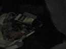 Greasy Pizza