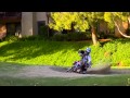 Brian Deegan goes Poaching