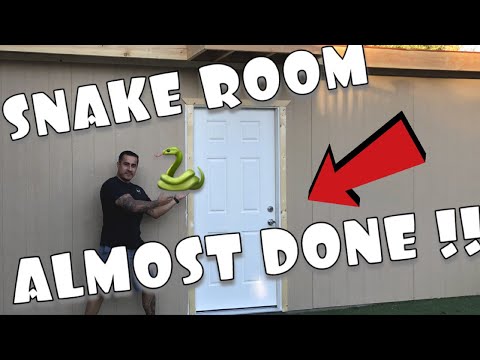 YouTube reptile video