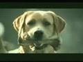 Banned commercial -  suicide