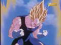 Magin Vegeta Memories Magin Vegeta Memories
