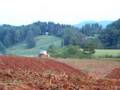 International 1086 disc harrow
