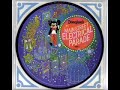 my collection: disney theme park picture discs from 1973