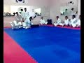 Pitbull Leipheim Sportschule Gürel Taekwondo & Allkampf