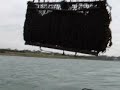 Mussel farming dredging in the Menai Strait Mussel farming dredging in the Menai Strait