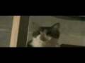 videos de fredreal.mp4