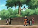 Eye Of The Ninja Eye Of The Ninja