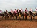 mawssim takhssayt chevaux marocaine mawssim takhssayt chevaux marocaine