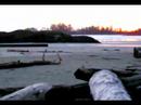 Pure Vancouver Beach Water---only $9.99 a bottle!