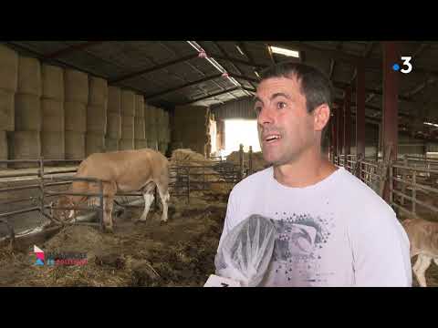 Image de prévisualisation YouTube