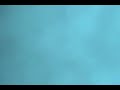 The Avalanche video everyone is talking about.  Buried alive for 4 minutes, all captured on his helmet camera.  http://www.youtube.com/watch?v=Q2Tr-Jg_fis