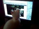 lilly the kitten crazy kitten chasing pc mouse