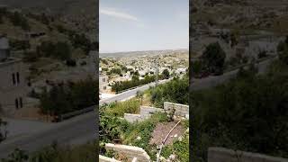 قرية صوريف قرية صوريف