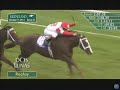 Horse Jumps Into Rail - 2011 Bourbon Stakes