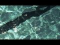 Plovárna Louka trailer 30' - Znojmo.tv