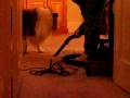 videos de MVI_0523.AVI