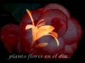 videos de Gheorghe Zamfir - Lonely Shepherd - El Jardinero Solitario ...