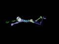 videos de Breaststroke 3ds max