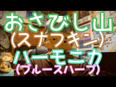 動画