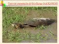 Sitio Ramsar Jaaukanig�s